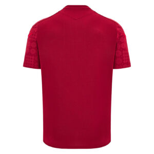 T-shirt d'entrainement Pays de Galles 2026 Macron Rouge Adulte 40007498 Dos