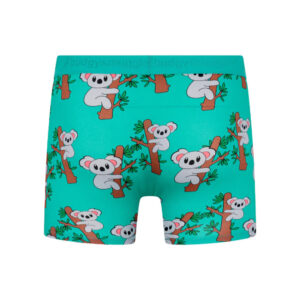 Boxer pour homme Budgy Smuggler Koala Dos