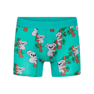 Boxer pour homme Budgy Smuggler Koala Face