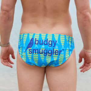 Maillot de bain Budgy Smuggler Sardines Bleu et jaune Vue porté de dos