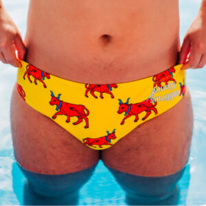 Maillot de bain Budgy Smuggler Drapeau Béarn Vue porté de face