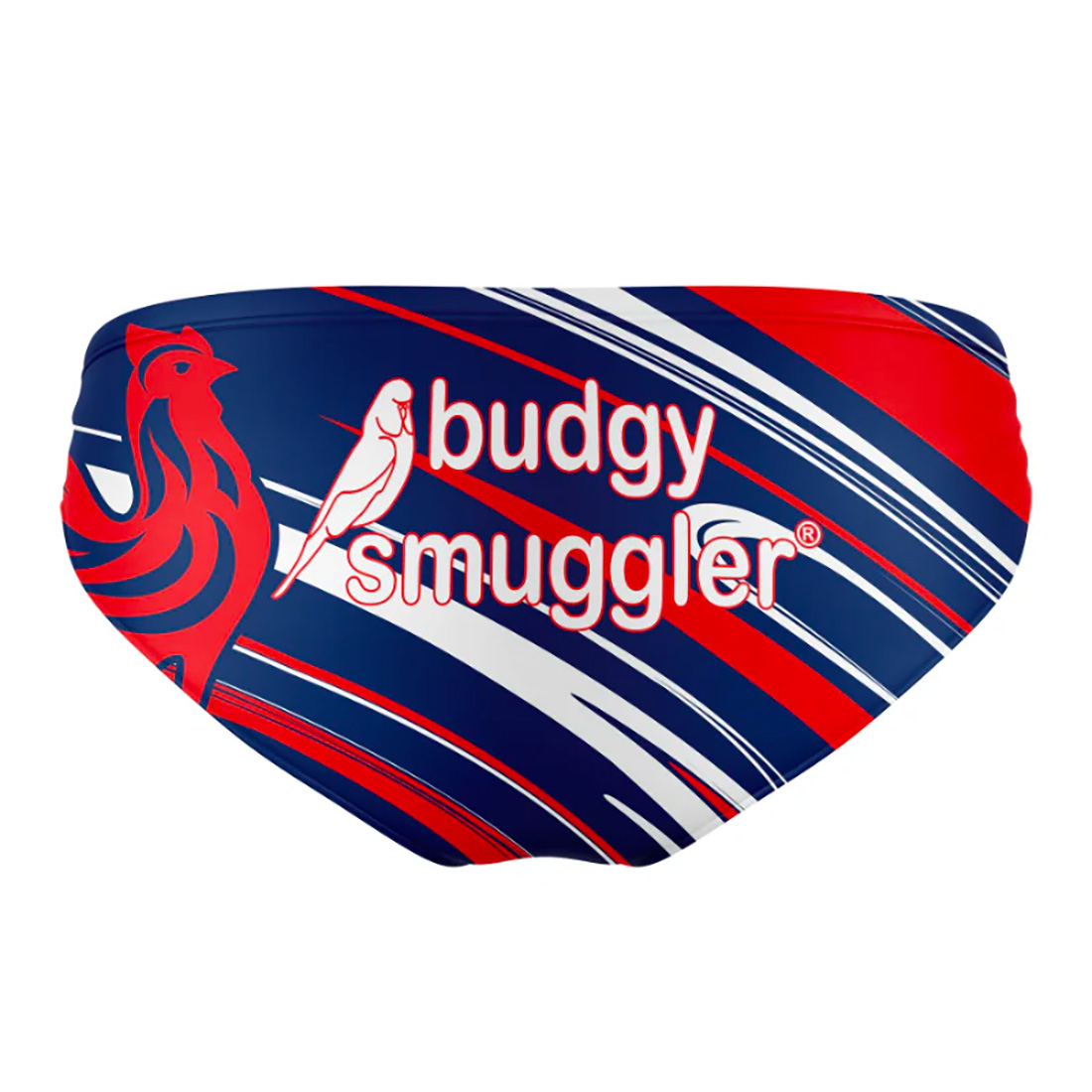 Maillot de bain Budgy Smuggler France Rugby 2025 Dos