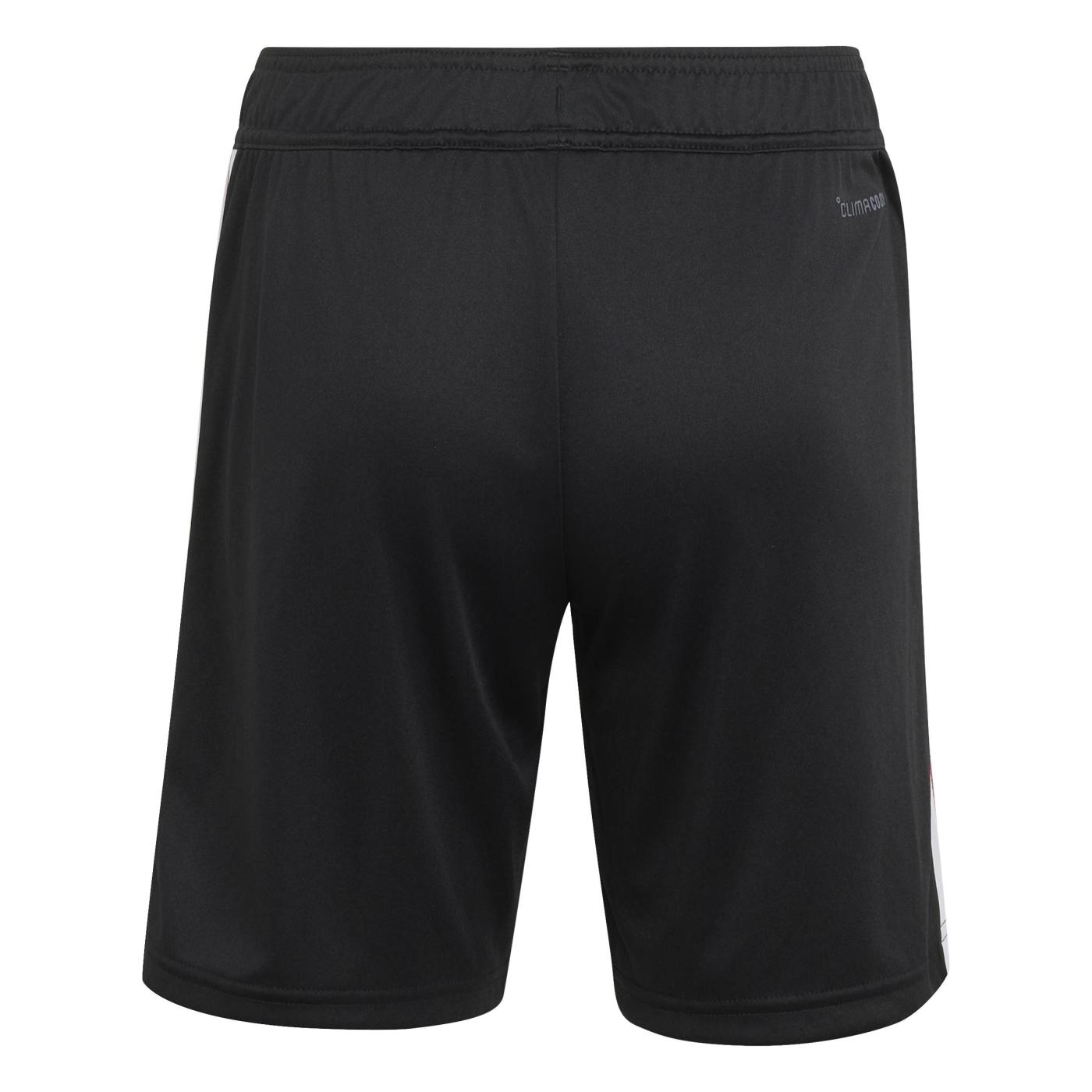 Short de sport All Blacks Adidas Rugby pour Enfant KF1564 Dos