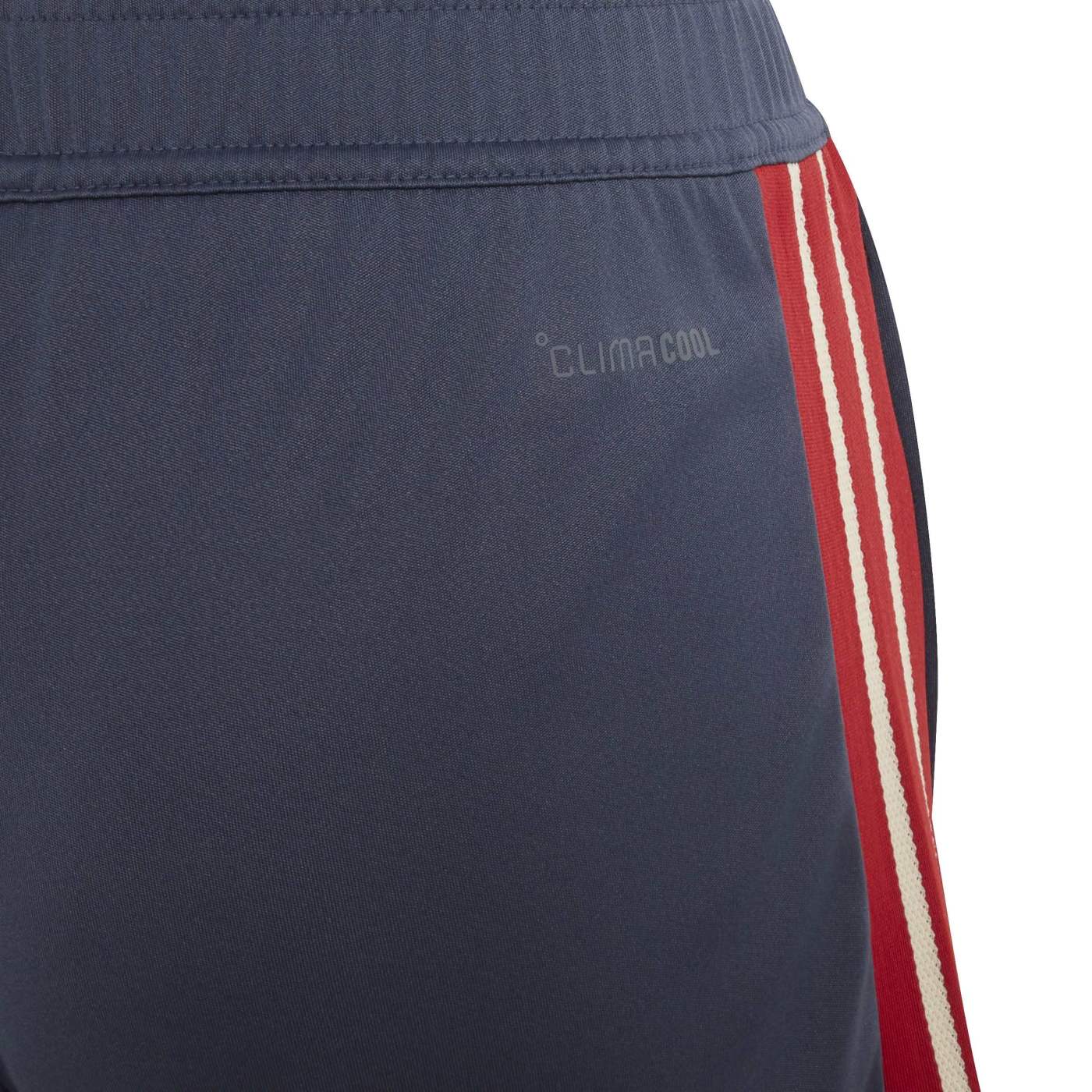 Short de sport France Rugby pour Enfant Adidas FFR KF8901 Detail Dos