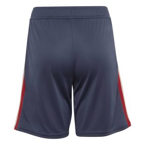 Short de sport France Rugby pour Enfant Adidas FFR KF8901 Dos
