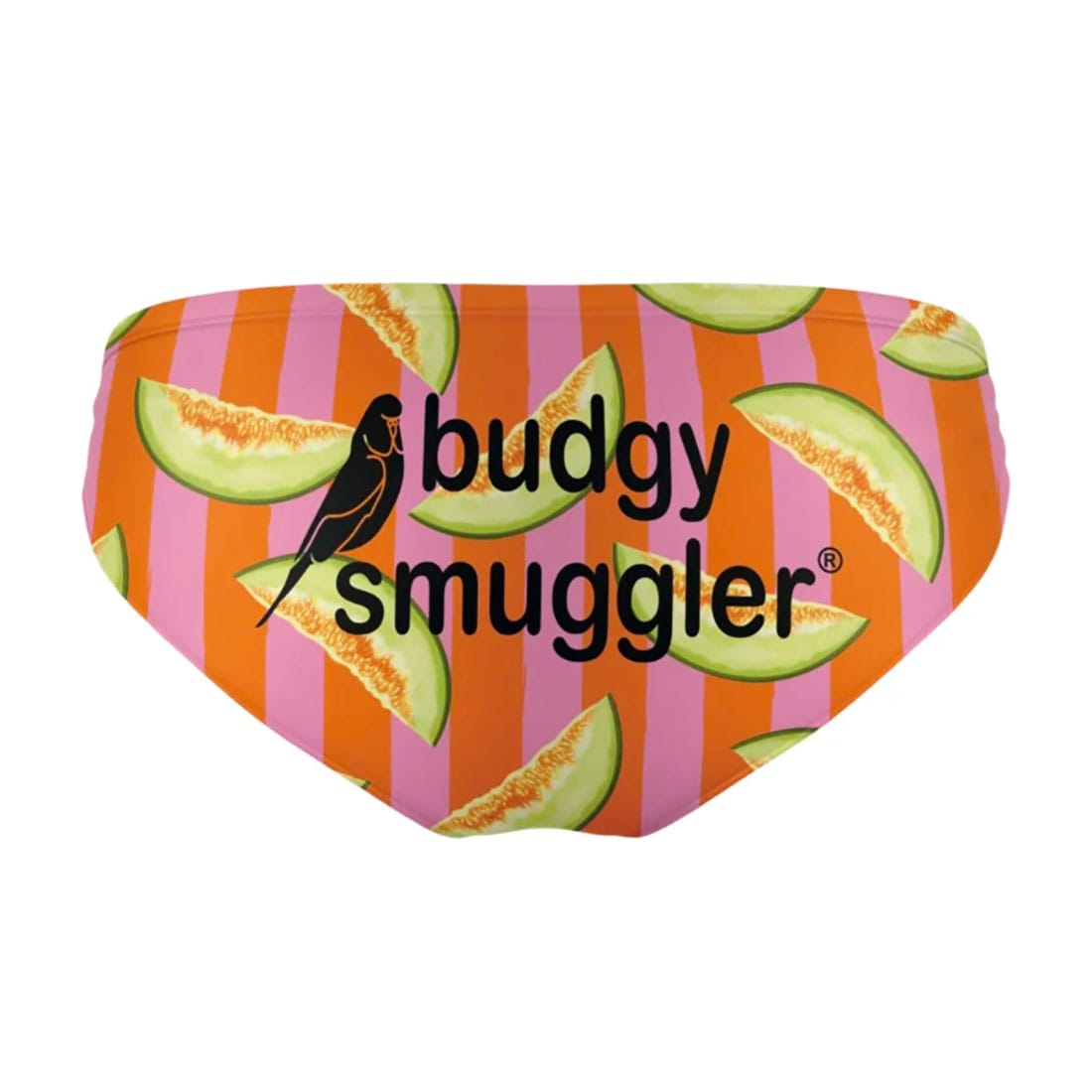 Maillot de bain Budgy Smuggler Stripey Melon Dos