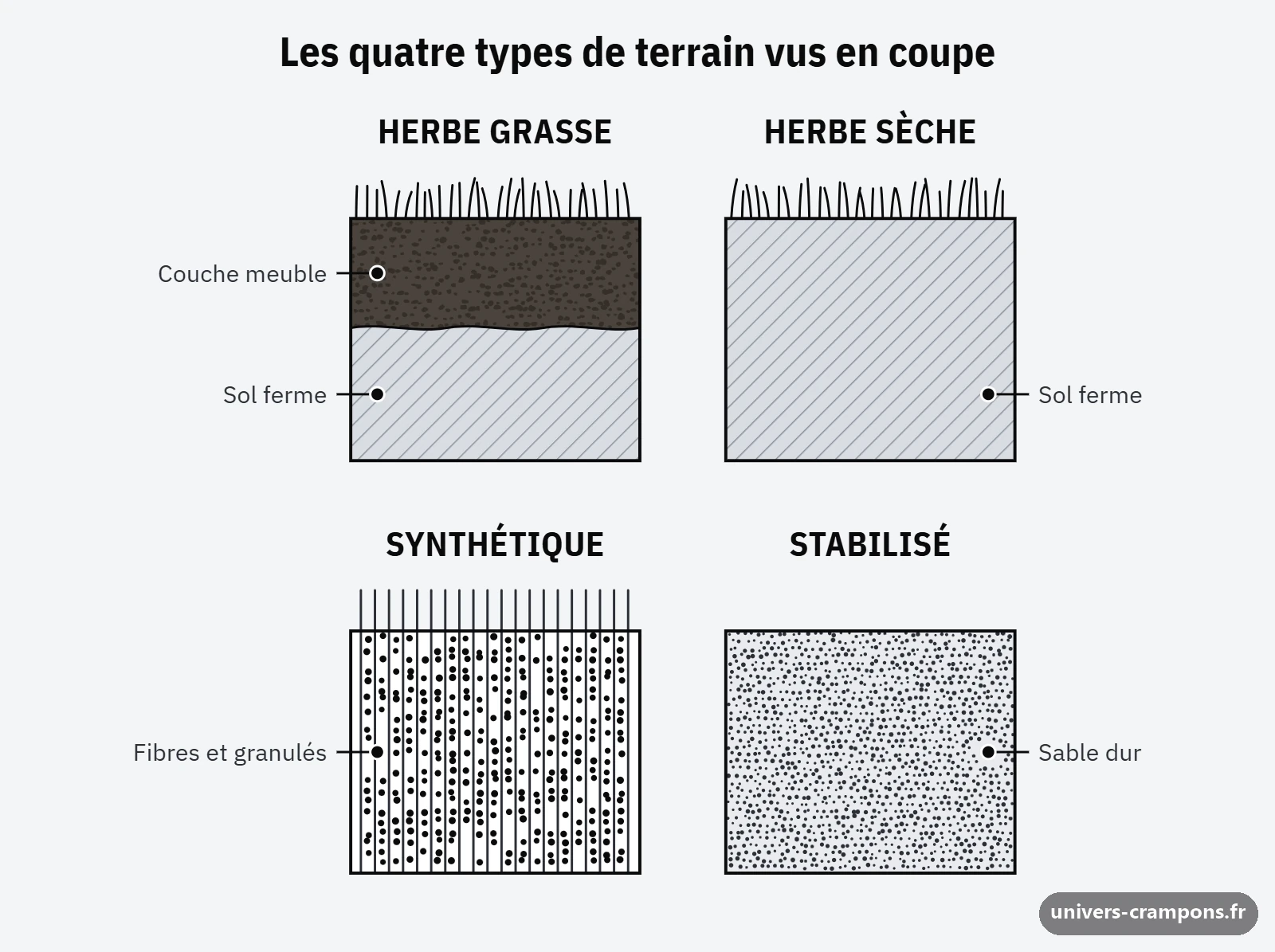 Coupe comparée de quatre sols : herbe grasse, herbe sèche, gazon synthétique et stabilisé