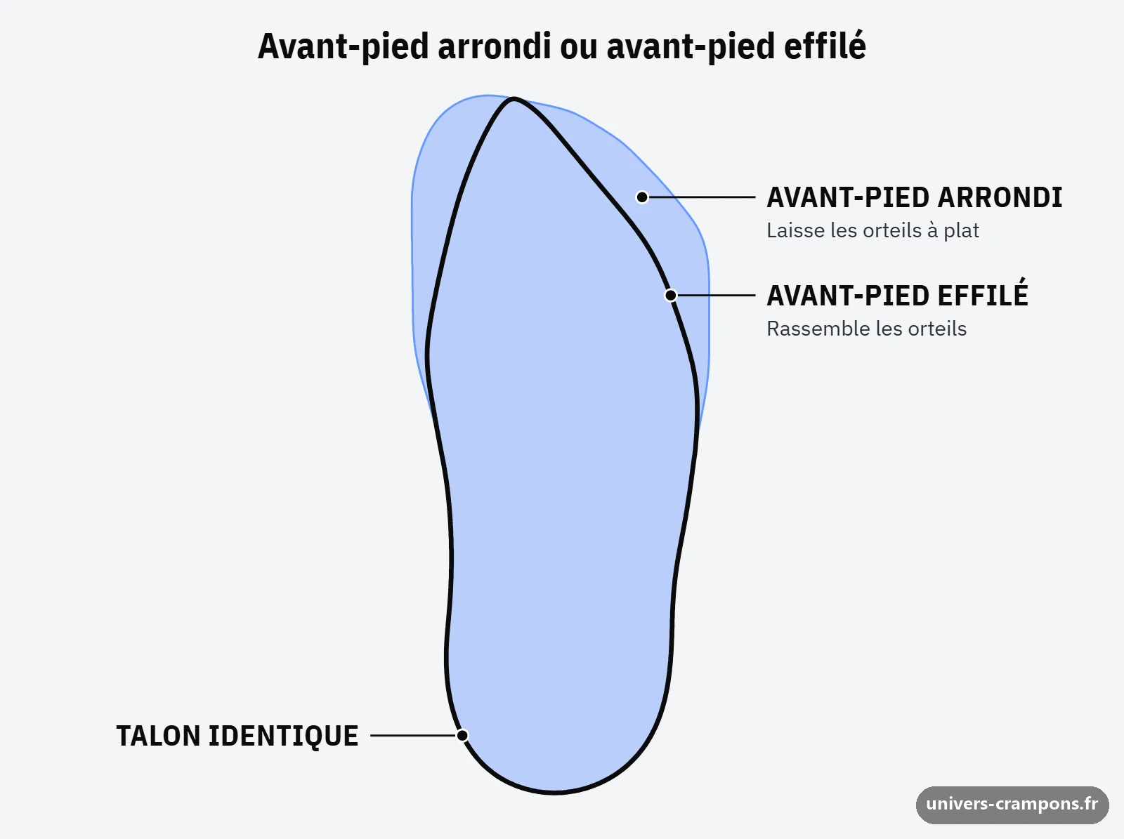 Schéma de deux contours de semelle superposés, l'un à avant-pied large et arrondi, l'autre à avant-pied étroit et effilé