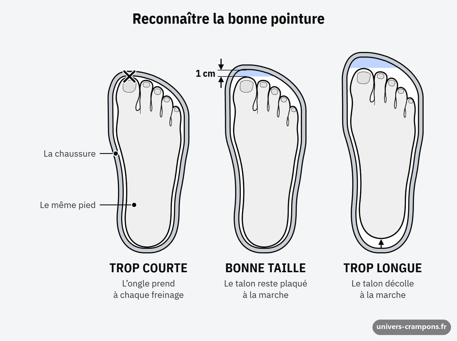 Le même pied vu de dessus dans trois chaussures. Le gros orteil touche le bout de la trop courte. La bonne taille laisse environ 1 cm devant l'orteil le plus long. Dans la trop longue, le pied glisse et le talon décolle