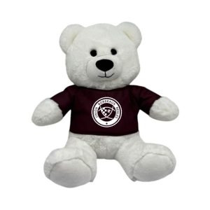Peluche Ourson Union Bordeux Bègles 28 cm Face